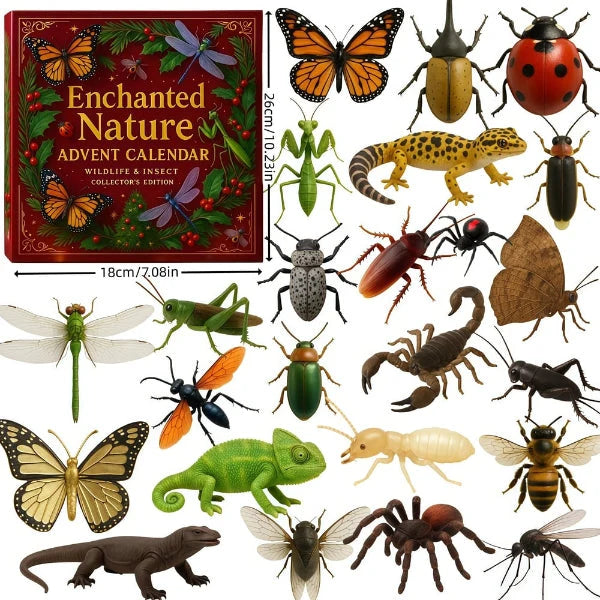Adventskalender „Naturtrick 2025“ 0
