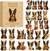 Boston Terrier Adventskalender 2025 0