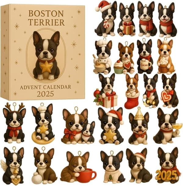 Boston Terrier Adventskalender 2025 0