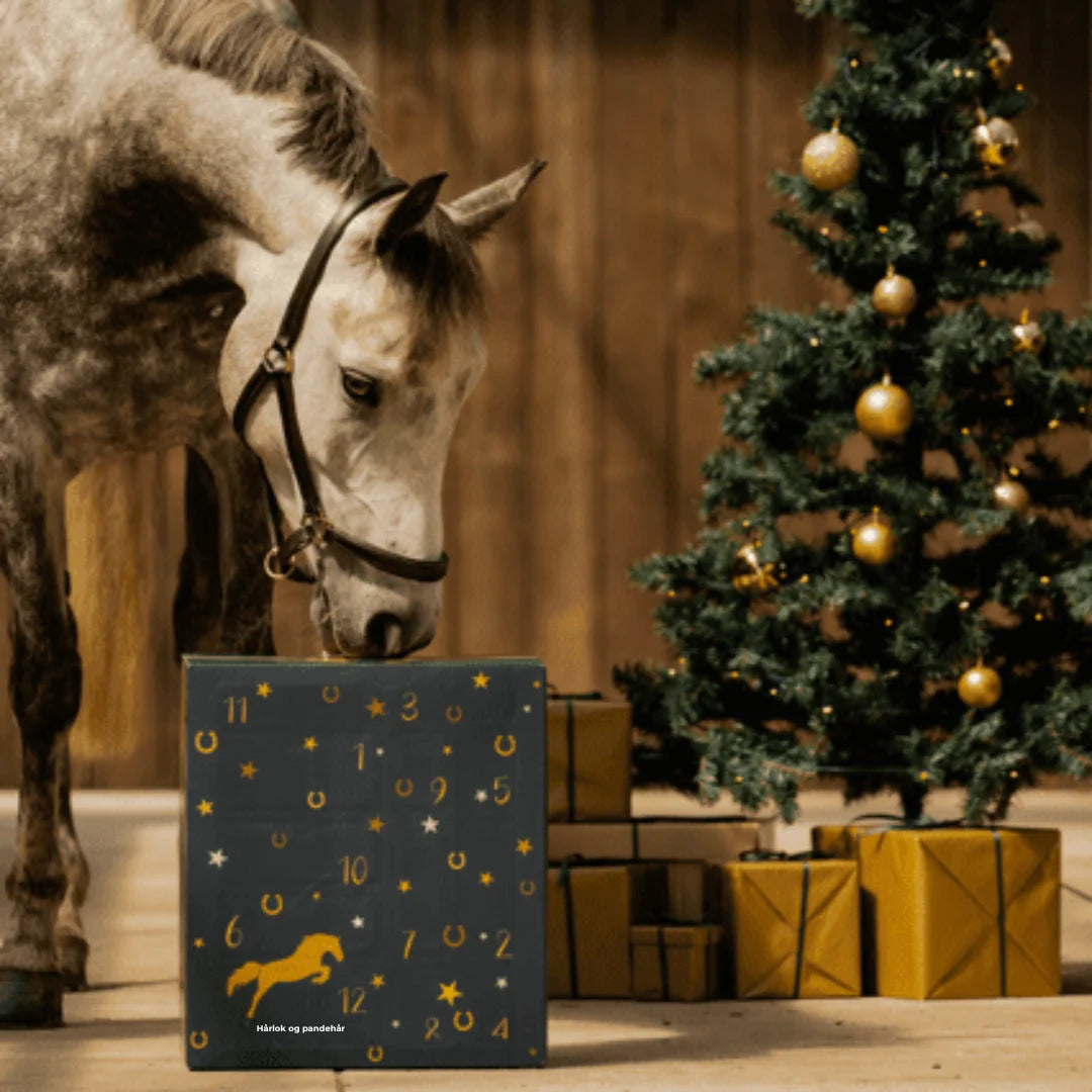 HorseDays™ – Ein Weihnachtscountdown für wahre Pferdeliebhaber 0