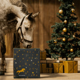 HorseDays™ – Ein Weihnachtscountdown für wahre Pferdeliebhaber 0