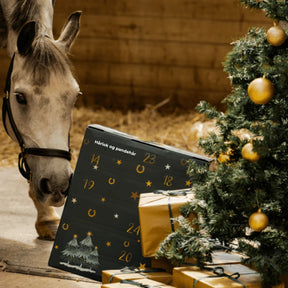HorseDays™ – Ein Weihnachtscountdown für wahre Pferdeliebhaber 1