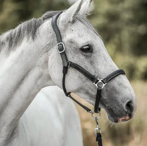 HorseDays™ – Ein Weihnachtscountdown für wahre Pferdeliebhaber 5