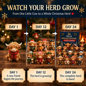 ⏳ Letzter Tag: 49 % Rabatt – 🐮 24-tägiger Adventskalender mit Hochlandrindern 2